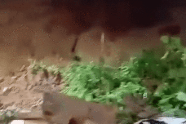 Deslizamento de terra em Bom Jardim deixa carros destruídos