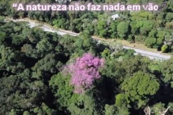 Serra de Cachoeiras de Macacu vista de cima - Imagem Drone Sky Vision