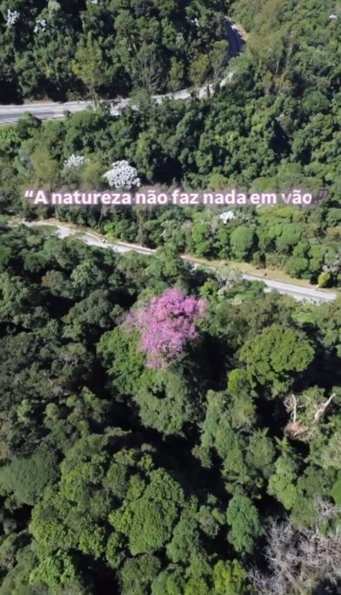 Serra de Cachoeiras de Macacu vista de cima - Imagem Drone Sky Vision