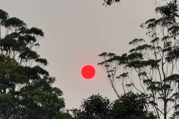 Sol vermelho alaranjado é um grande alerta climático para fumaças de queimadas e clima seco - Foto Priscilla Korn Friggo