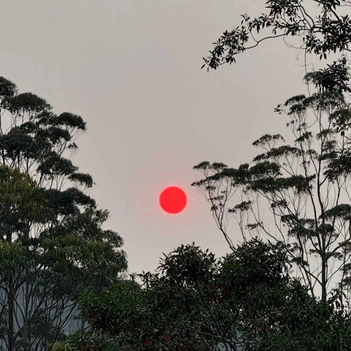 Sol vermelho alaranjado é um grande alerta climático para fumaças de queimadas e clima seco - Foto Priscilla Korn Friggo