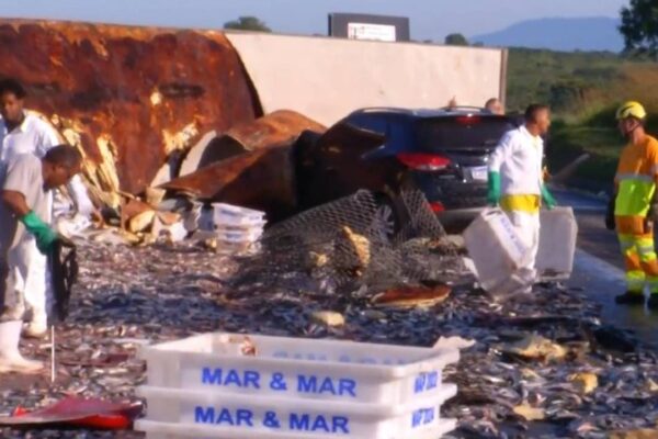 Acidente com carreta de peixes na RJ-124: carga espalhada e equipes no local.