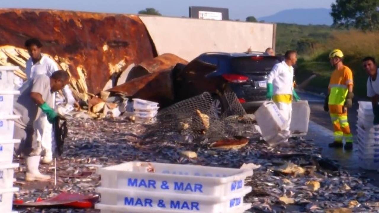 Acidente com carreta de peixes na RJ-124: carga espalhada e equipes no local.