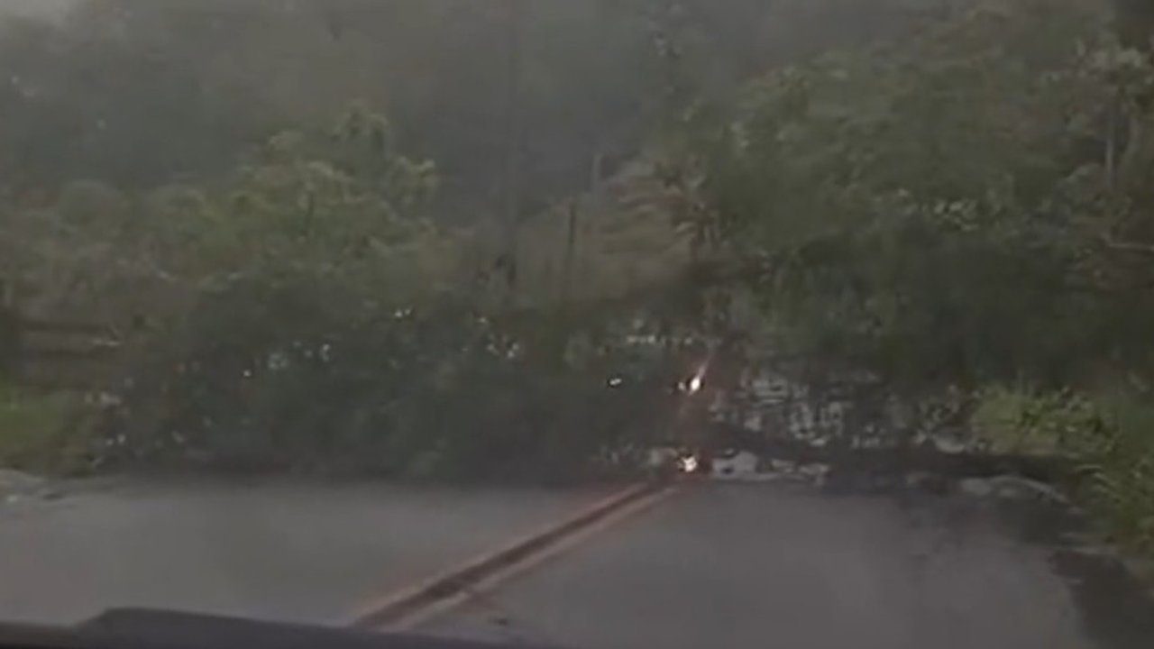 Árvore caída bloqueando estrada durante forte chuva na RJ-142, em Sana.