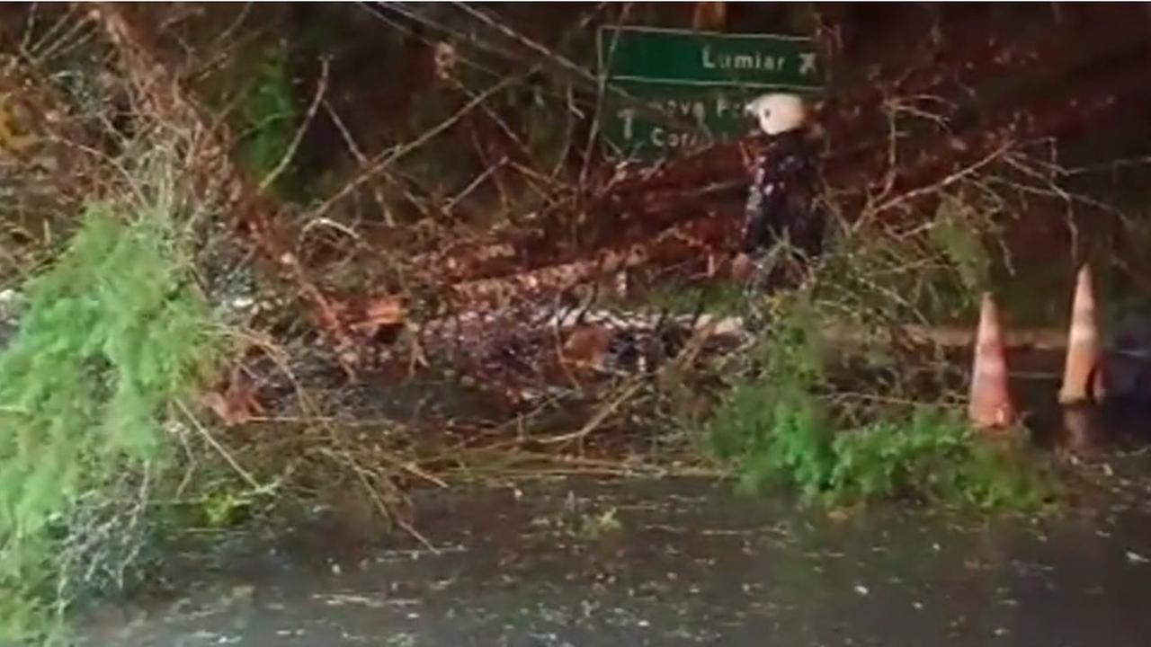 Árvore caída bloqueia estrada em Nova Friburgo após ciclone, com cones e placa de sinalização.