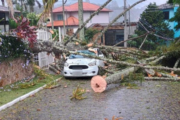 Árvore caída destrói carro no bairro Sítio São Luiz, Nova Friburgo.
