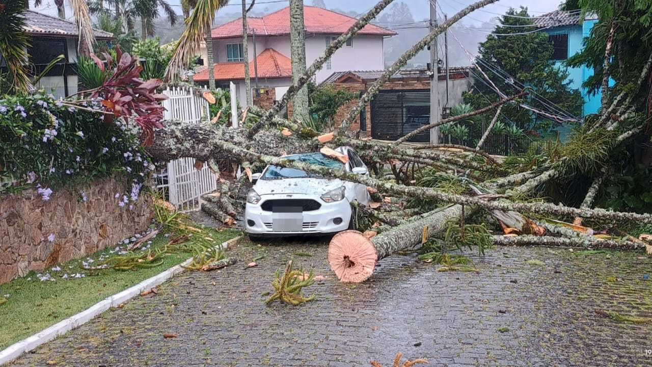 Árvore caída destrói carro no bairro Sítio São Luiz, Nova Friburgo.