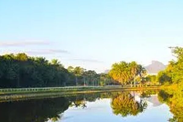 Bosque da Barra no Rio de Janeiro: reflexo na água e vegetação exuberante, porém em degradação.