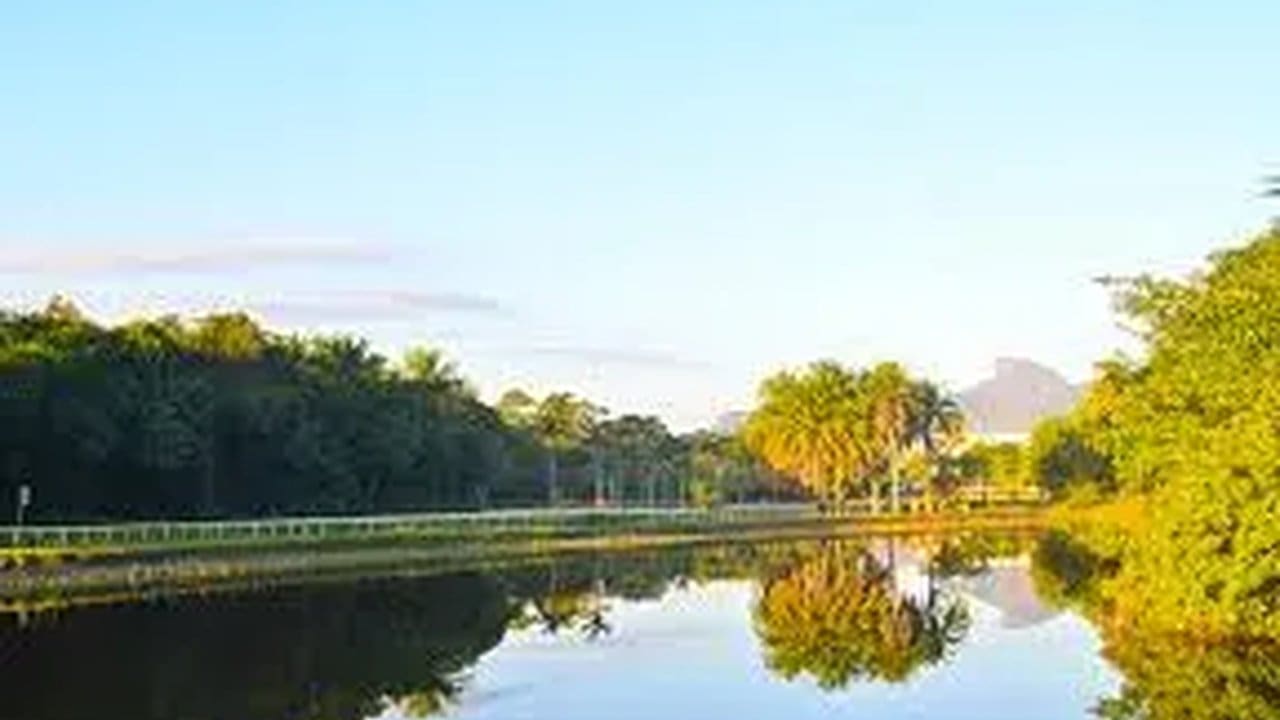 Bosque da Barra no Rio de Janeiro: reflexo na água e vegetação exuberante, porém em degradação.