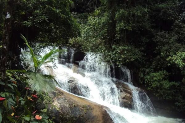 Cachoeira em meio à mata verdejante, um refúgio natural
