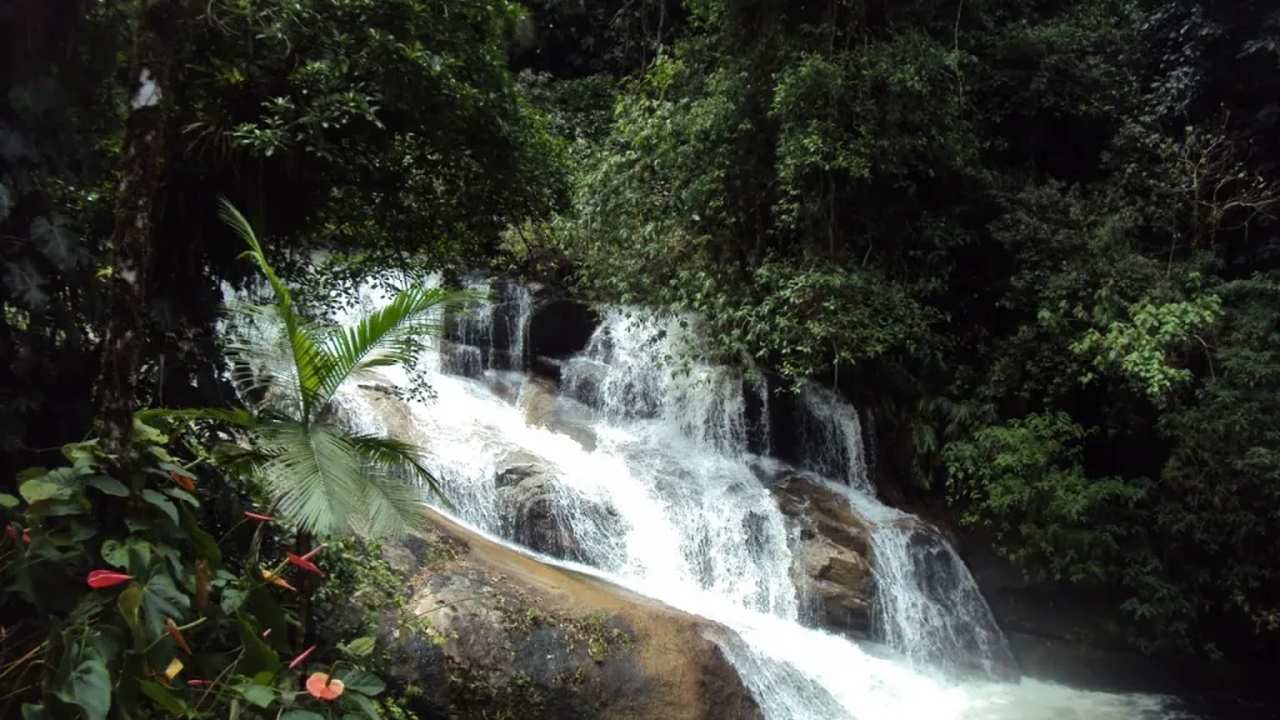 Cachoeira em meio à mata verdejante, um refúgio natural