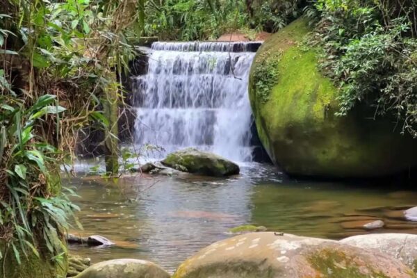 Cachoeira em meio à vegetação exuberante em Pau Grande