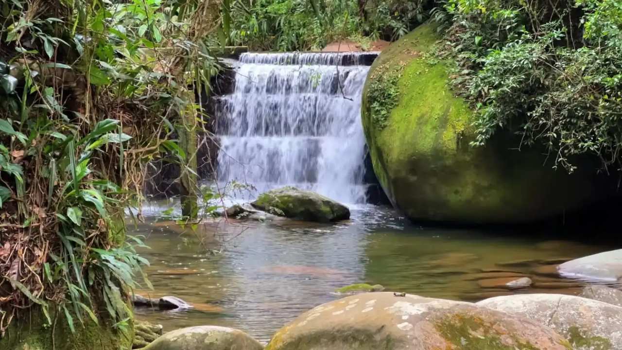 Cachoeira em meio à vegetação exuberante em Pau Grande
