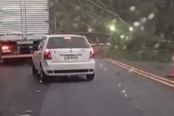 Carro branco parado na estrada RJ-116 bloqueada por queda de árvore