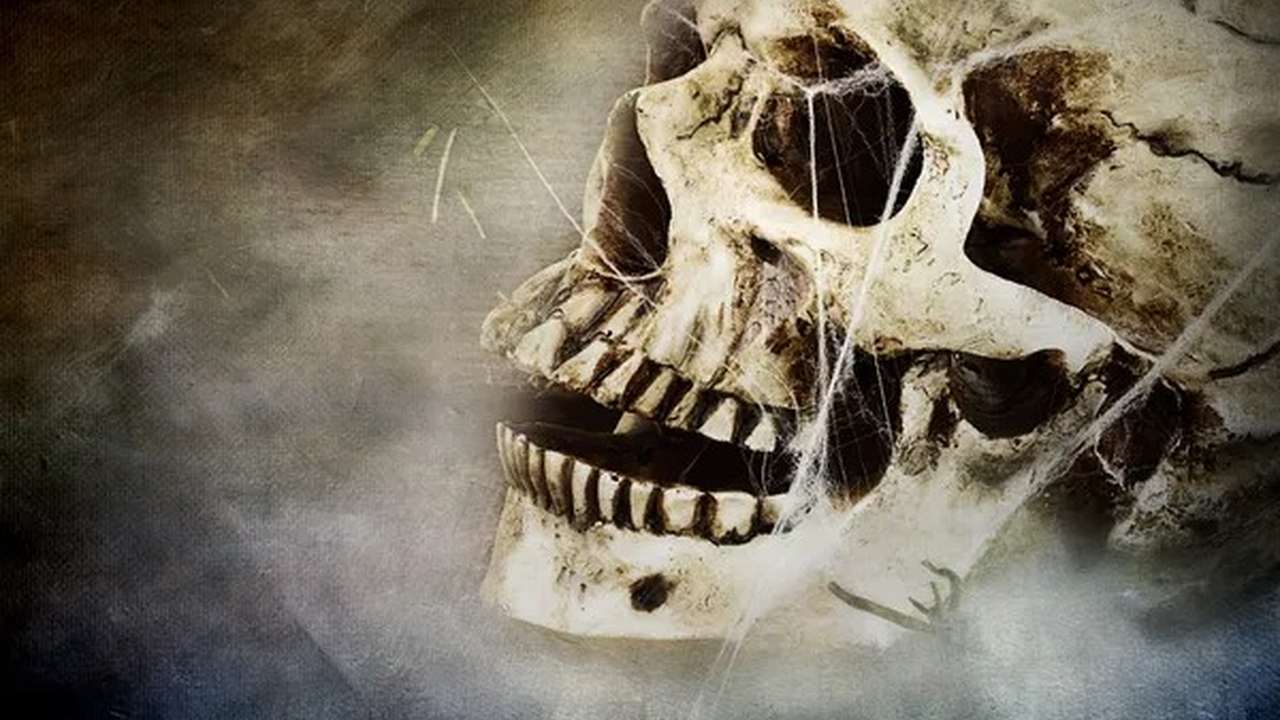 Caveira em tons escuros, com teias de aranha, em imagem assustadora.