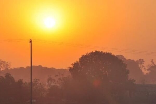 Céu alaranjado com sol e árvores, cenário de baixa umidade do ar no Rio de Janeiro.