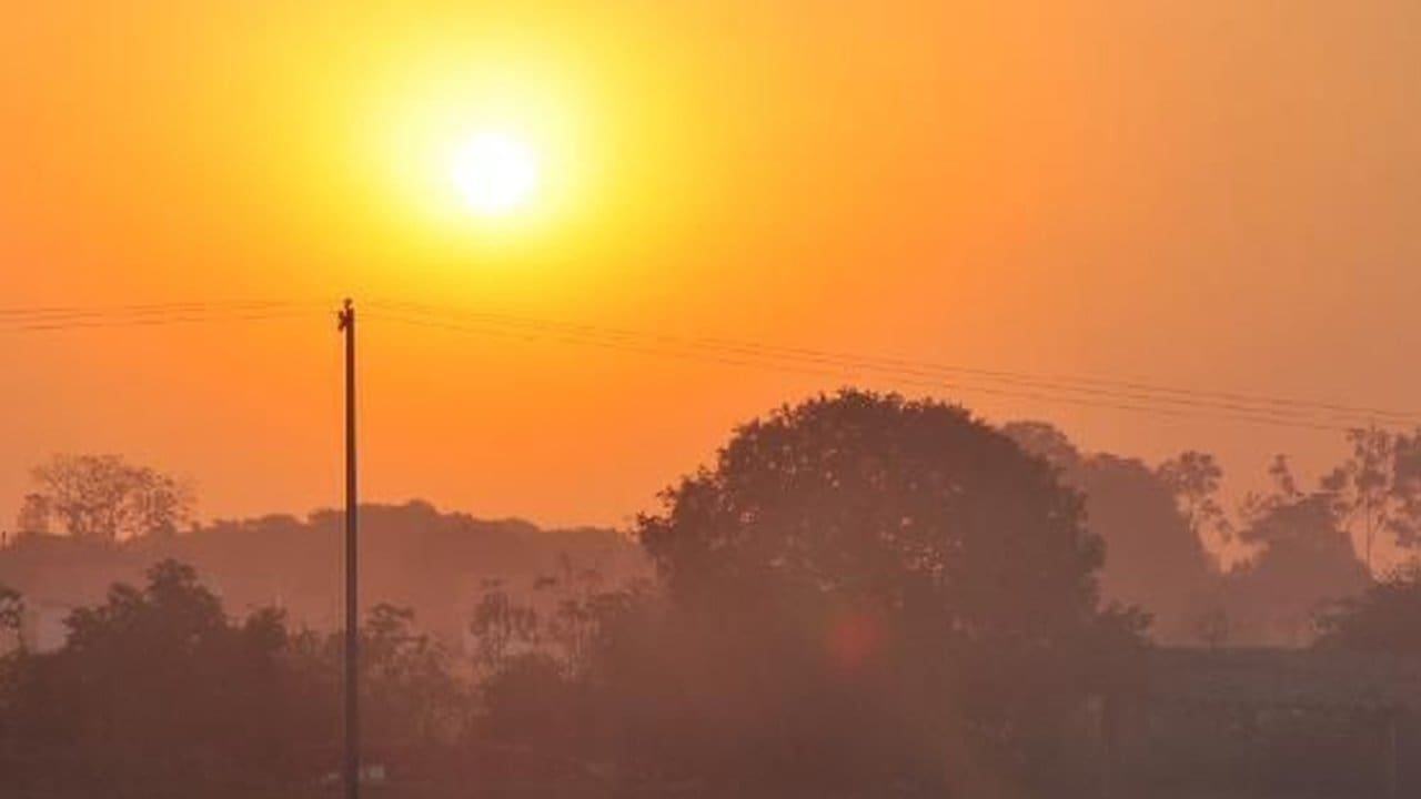 Céu alaranjado com sol e árvores, cenário de baixa umidade do ar no Rio de Janeiro.
