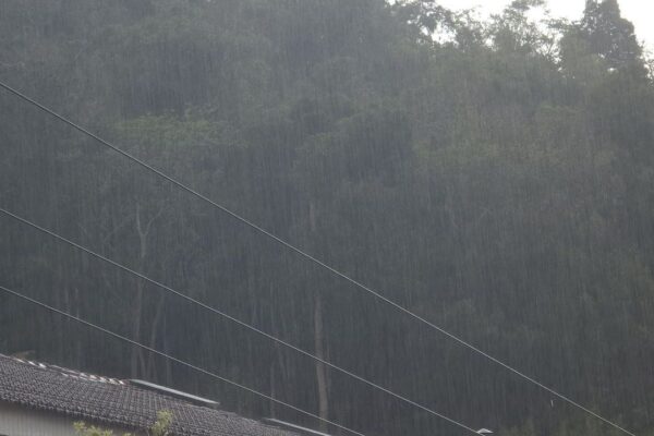 Chuva forte em Nova Friburgo, com fios e mata ao fundo.