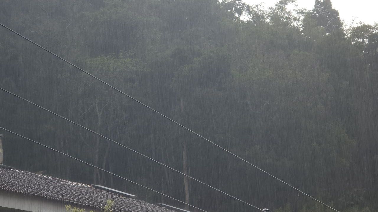 Chuva forte em Nova Friburgo, com fios e mata ao fundo.