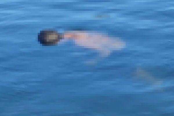 Corpo em lagoa: Imagem mostra um corpo na água, possivelmente na Lagoa Rodrigues de Freitas.