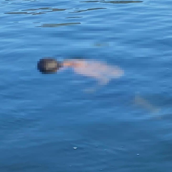 Corpo em lagoa: Imagem mostra um corpo na água, possivelmente na Lagoa Rodrigues de Freitas.
