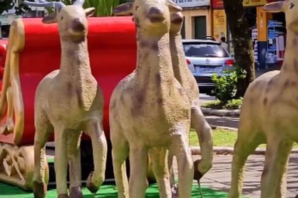 Decoração de Natal em Nova Friburgo com renas de enfeite.