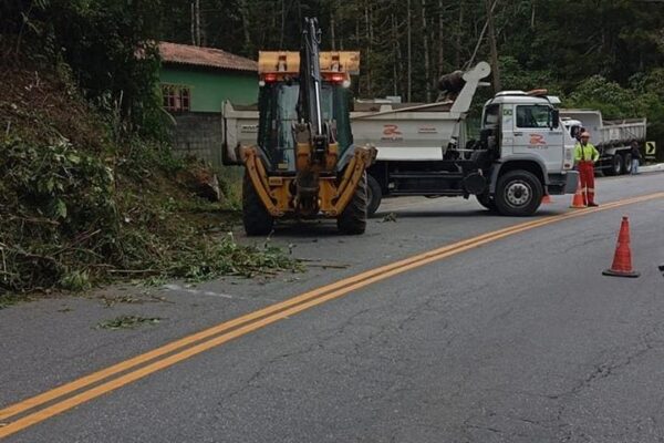 A Rota 116 realiza serviço de poda de vegetação no Km 67 da RJ-116, no bairro Debossan, em Nova Friburgo.jpg