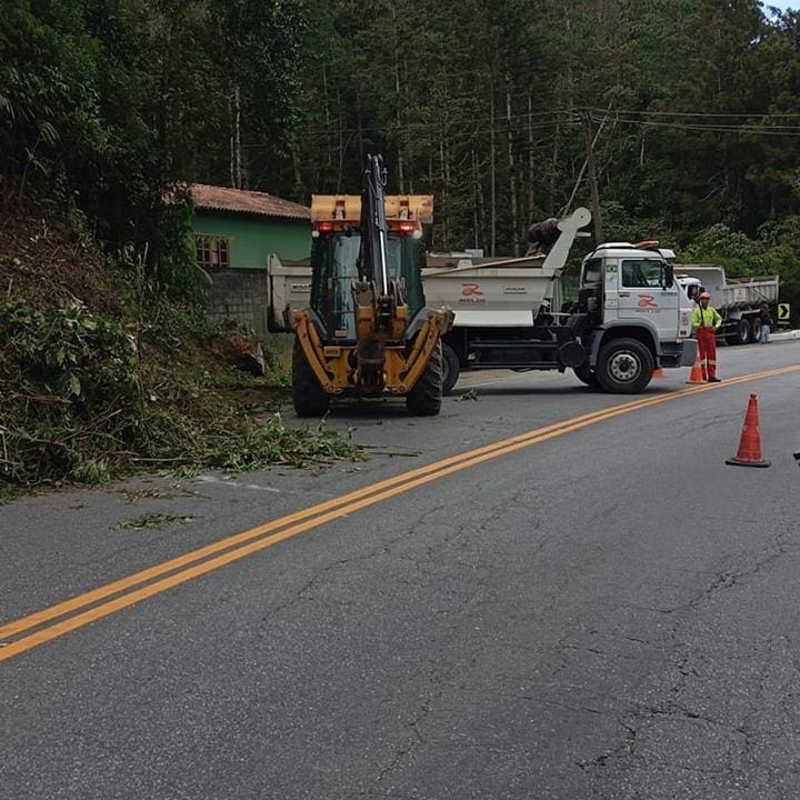 A Rota 116 realiza serviço de poda de vegetação no Km 67 da RJ-116, no bairro Debossan, em Nova Friburgo.jpg