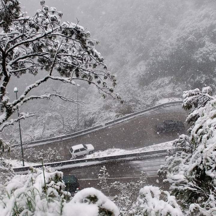 Registros mágicos da Neve 29-05-2025Serra do Rio do Rastro-Bom Jardim da Serra Via @aserracatarinense r (4).png