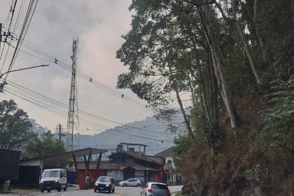 Estrada RJ-116 com trânsito lento devido a serviços de poda de árvores, Rio de Janeiro.