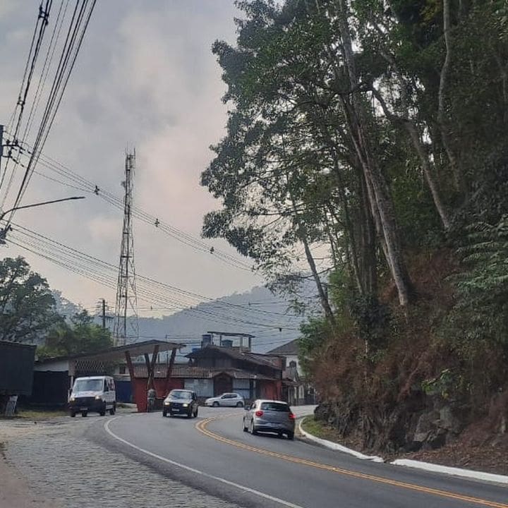 Estrada RJ-116 com trânsito lento devido a serviços de poda de árvores, Rio de Janeiro.