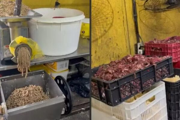 Fábrica de salgados com equipamentos e ingredientes.