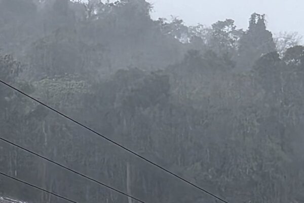 Foto de tempestade em Nova Friburgo, com mata e fios de energia.