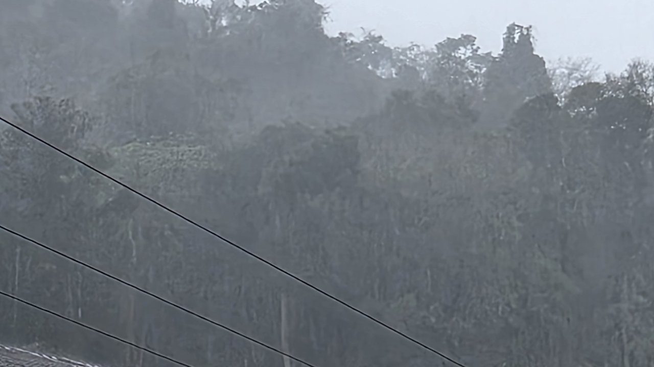 Foto de tempestade em Nova Friburgo, com mata e fios de energia.