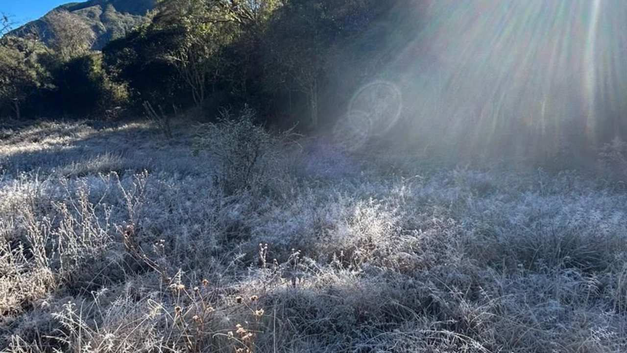 Geada cobrindo o solo em um campo verdejante no Parque Estadual dos Três Picos.