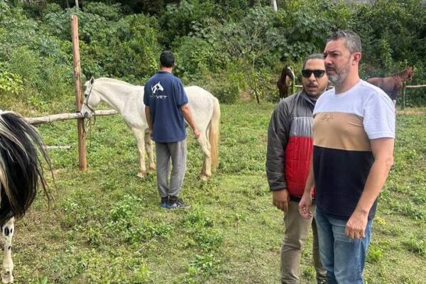 Homens observam cavalos em um pasto, possivelmente em inspeção da prefeitura.