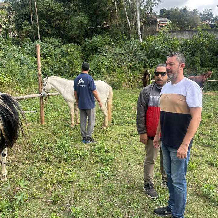 Homens observam cavalos em um pasto, possivelmente em inspeção da prefeitura.