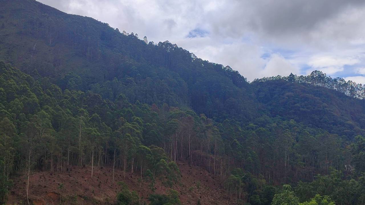Imagem de área montanhosa com árvores, mostrando desmatamento e mudança na paisagem.