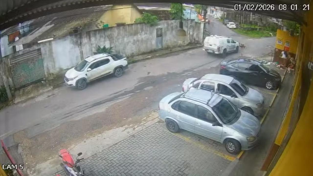 Imagem de viaturas e carros estacionados em rua, possivelmente relacionada a investigação de atropelamento de cães.