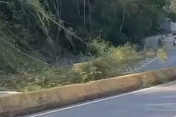 Incêndio na Via Expressa Nova Friburgo, com vegetação e veículos ao fundo.