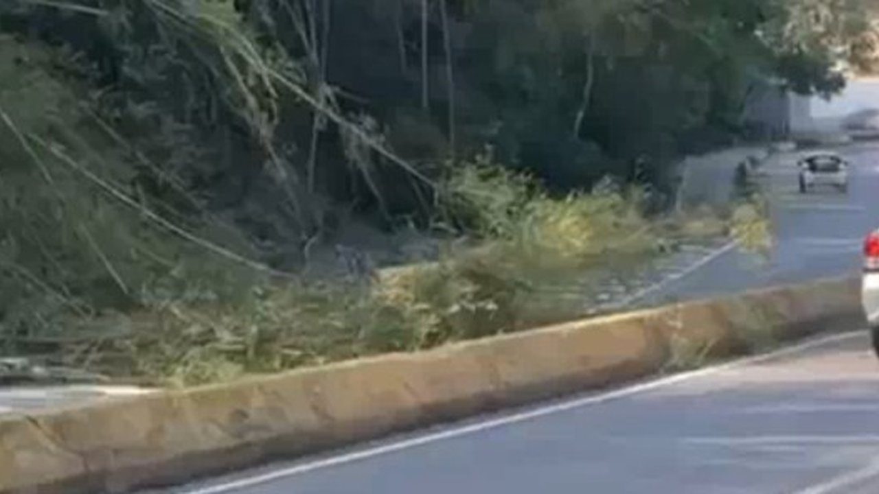Incêndio na Via Expressa Nova Friburgo, com vegetação e veículos ao fundo.