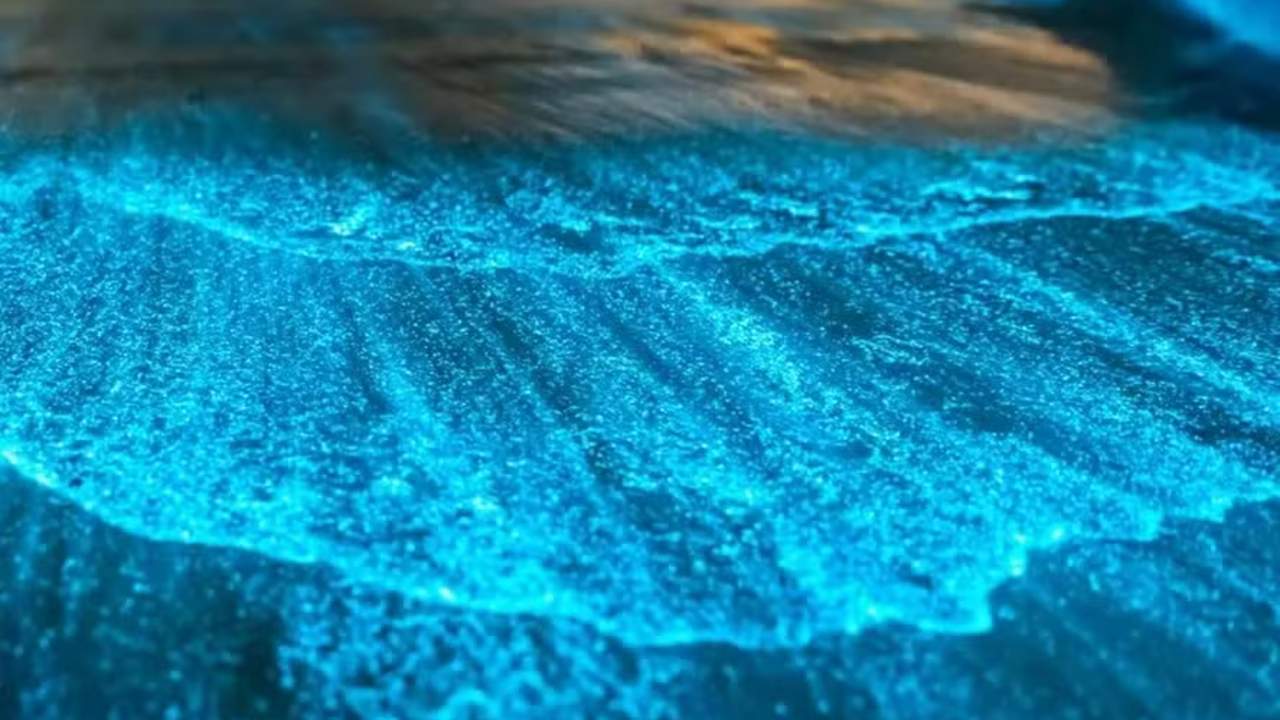 Lagoa de Jacaroá em Maricá com bioluminescência, um espetáculo natural.