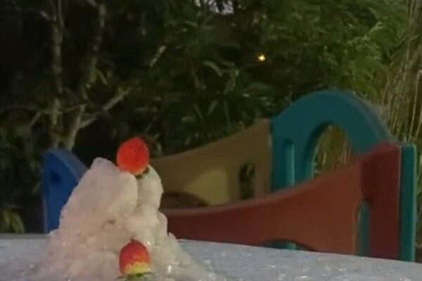 Moranguinhos cobertos por gelo em frente a um parque infantil.