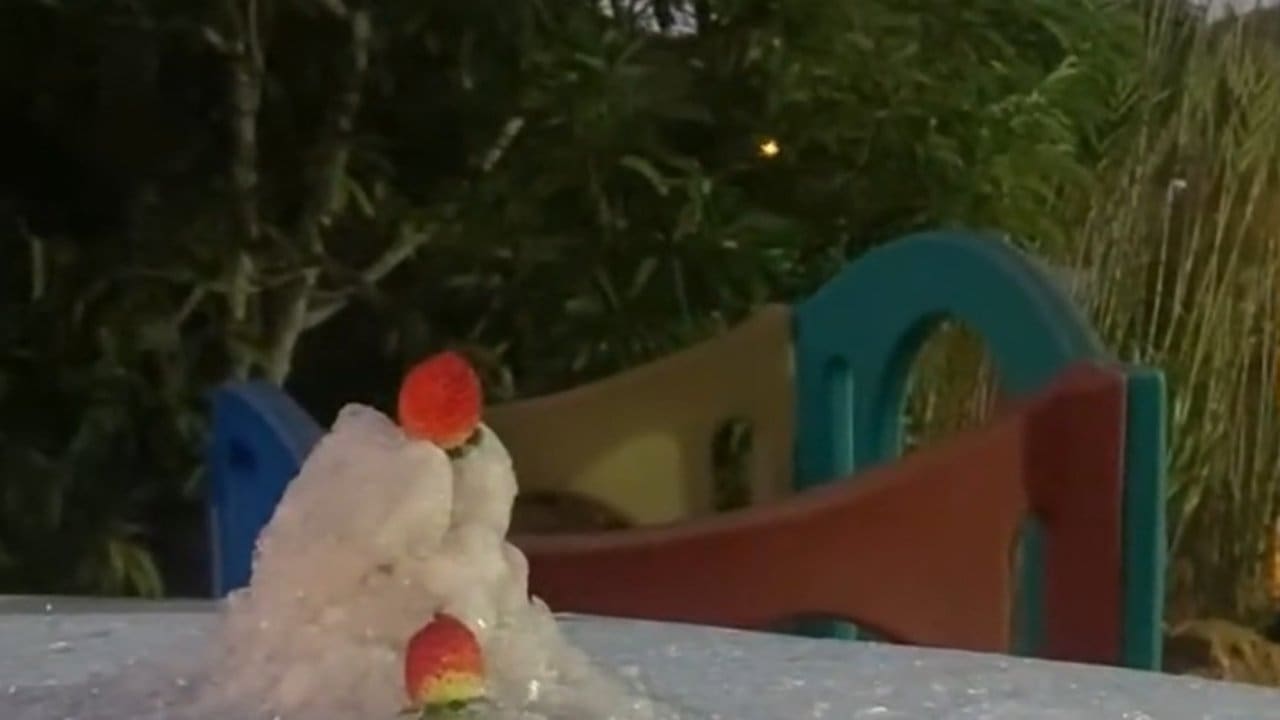 Moranguinhos cobertos por gelo em frente a um parque infantil.