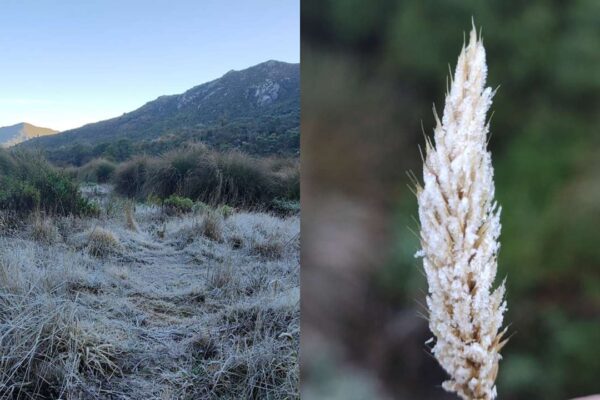 Paisagem de Itatiaia coberta por geada, com montanhas ao fundo e vegetação congelada em primeiro plano.