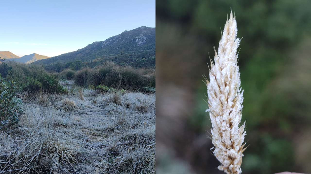 Paisagem de Itatiaia coberta por geada, com montanhas ao fundo e vegetação congelada em primeiro plano.