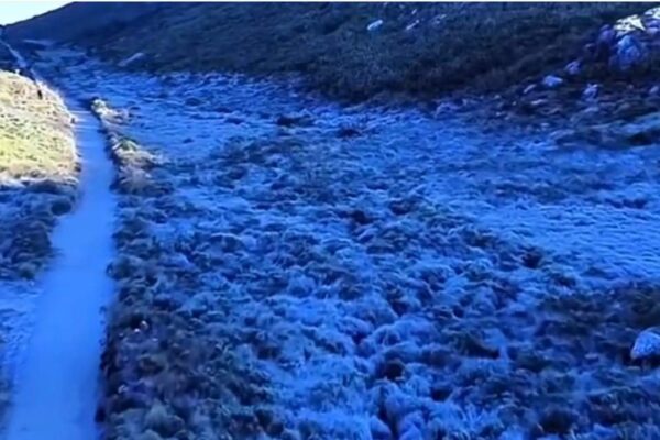 Paisagem do Parque Nacional do Itatiaia coberta por gelo após geada intensa, com trilha no meio.