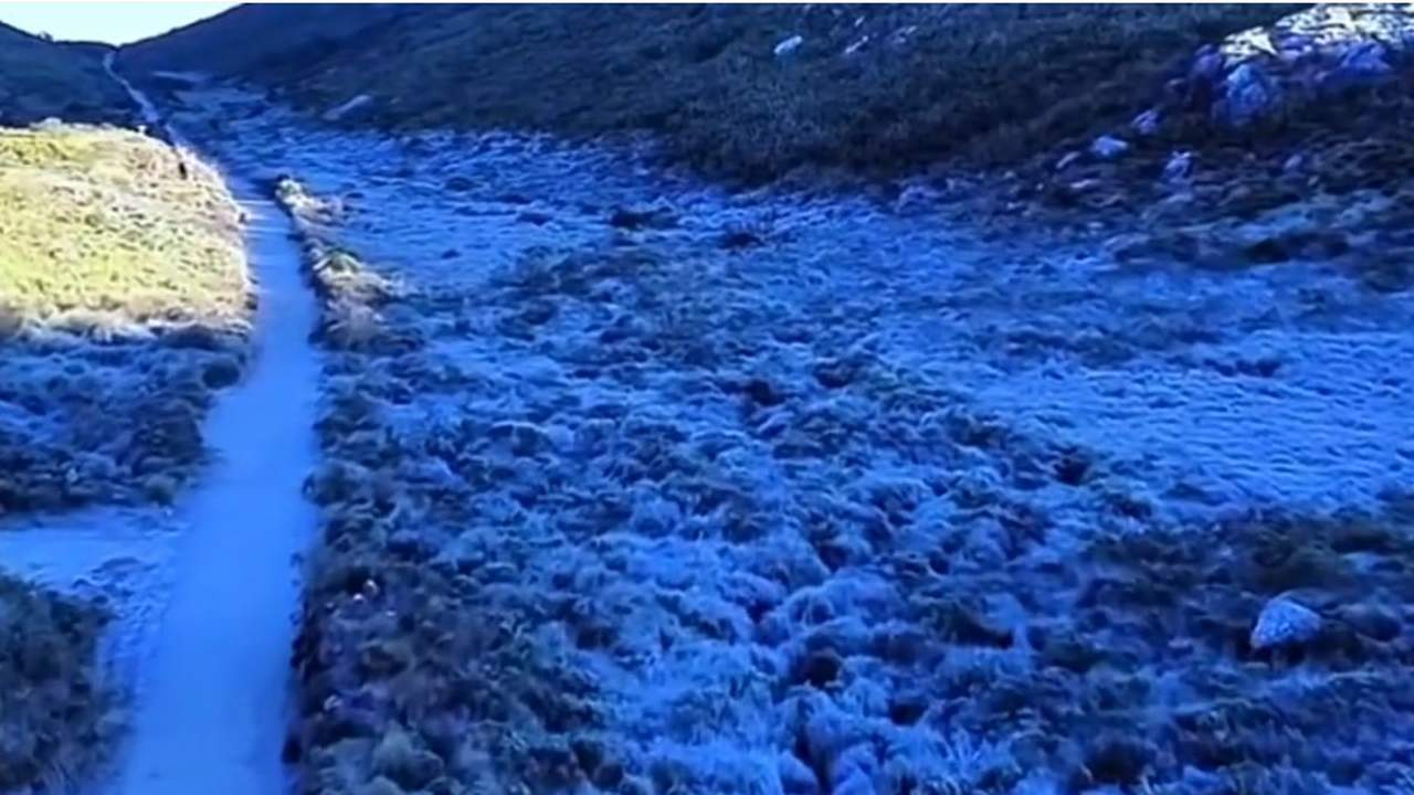 Paisagem do Parque Nacional do Itatiaia coberta por gelo após geada intensa, com trilha no meio.