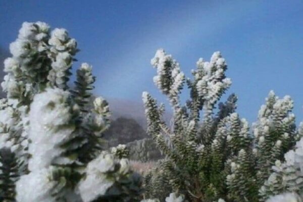 Paisagem montanhosa com vegetação coberta de geada sob céu azul claro.