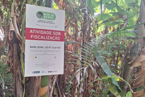 Placa de fiscalização 'Olho no Verde' em área florestal.